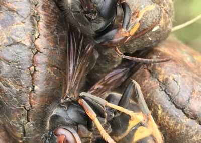 commune de la selle sur le bied