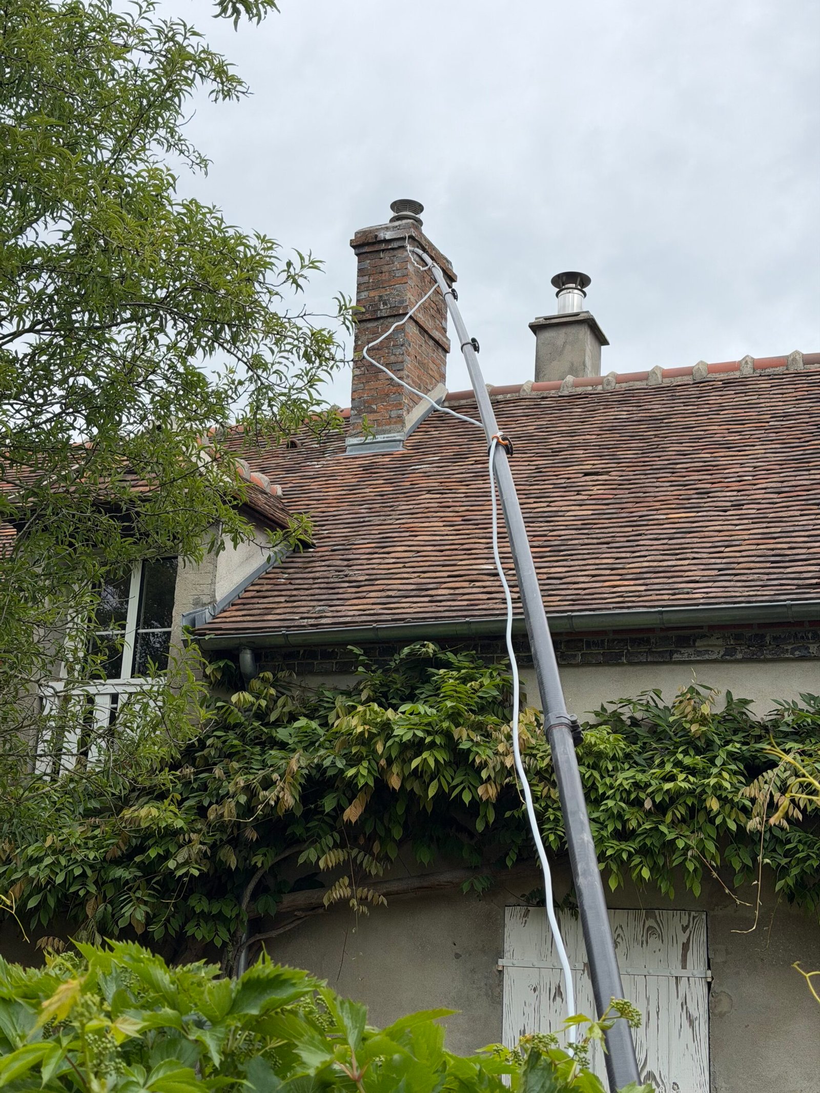 Intervention guêpes Montargis